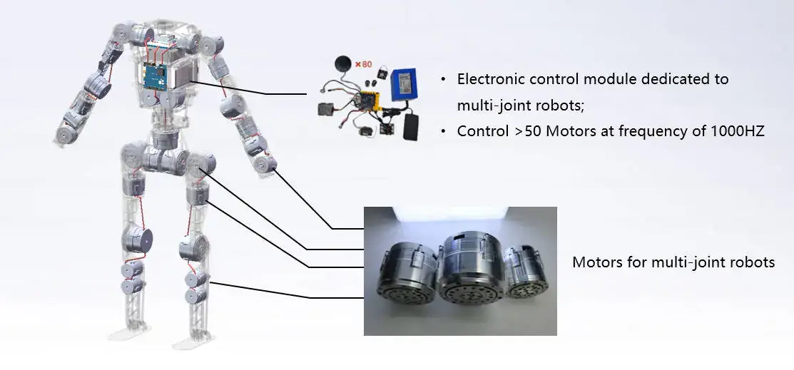 BXI Robotics humanoid robot OEM/ODM customization